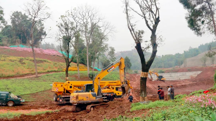 1678863520264602.png image.png