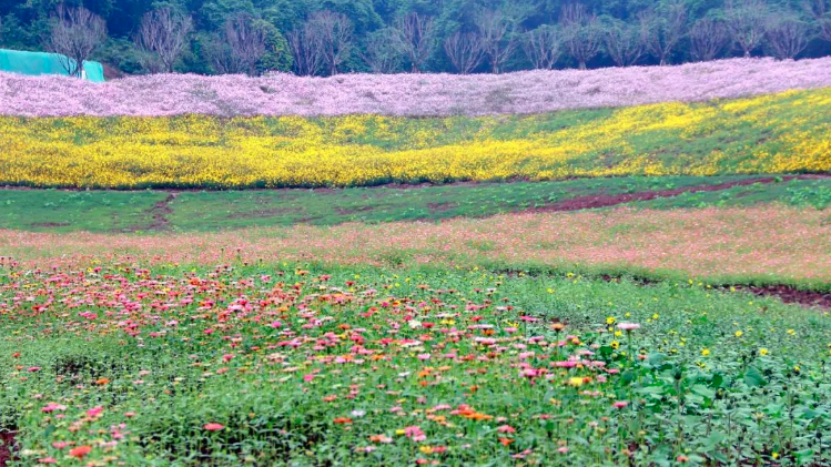 1678863536923505.png image.png