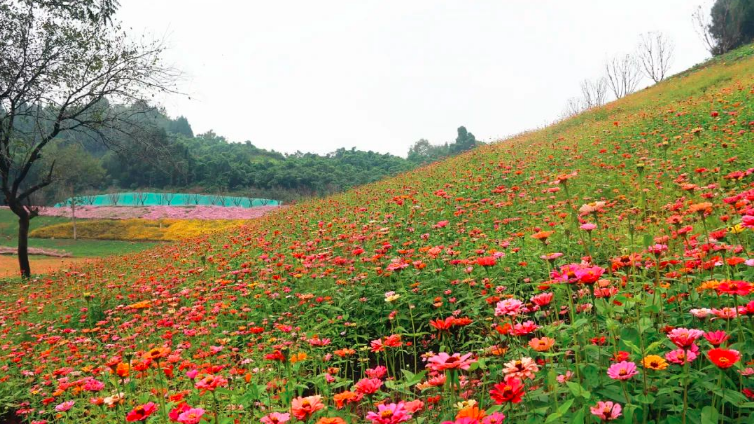 1678863551316197.png image.png